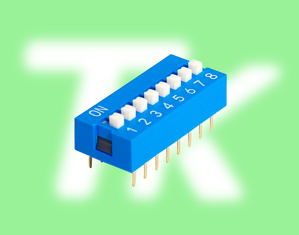 撥碼開關(guān) 10